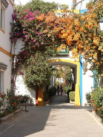 In The Marina Complex