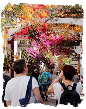 Puerto de Mogan in bloom